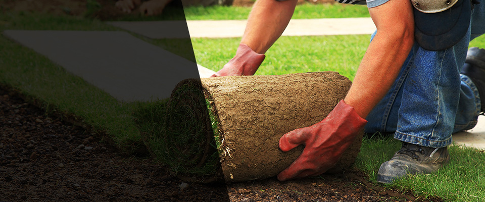 Aurora Landscapers